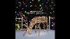 Alpine Corporation Outdoor Indoor Rattan Grazing Reindeer With Lights Christmas And Holiday Decor
