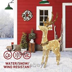 Christmas Lighted Reindeer 70 Warm White Light Indoor Outdoor Adapter Plug in